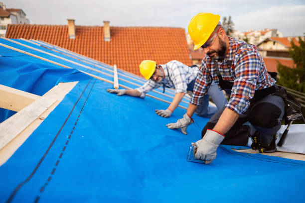 Best Metal Roofing Contractor  in Magnolia, OH